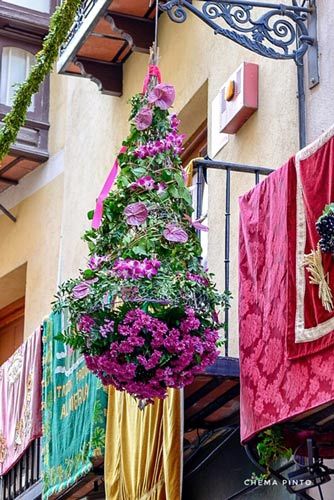 Adolfo Floristas Ramos con flores moradas